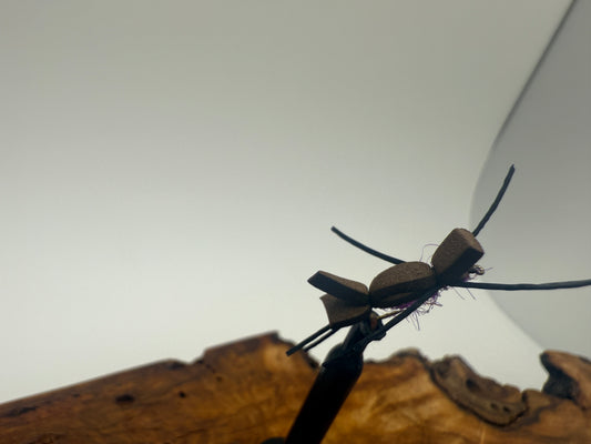 LA ANT