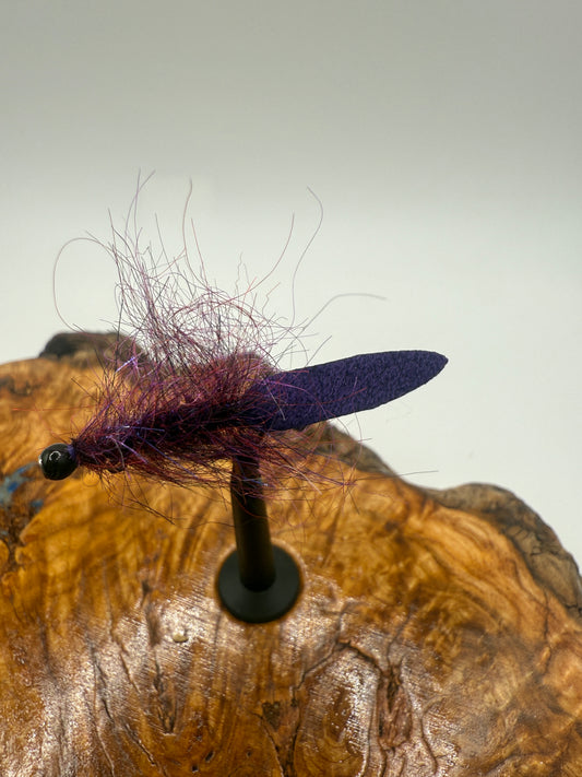 BALANCED LEECH