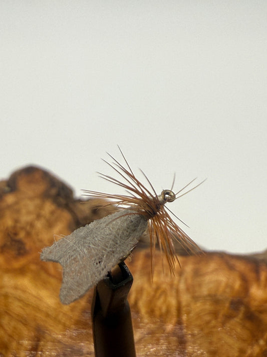 CADDIS WING