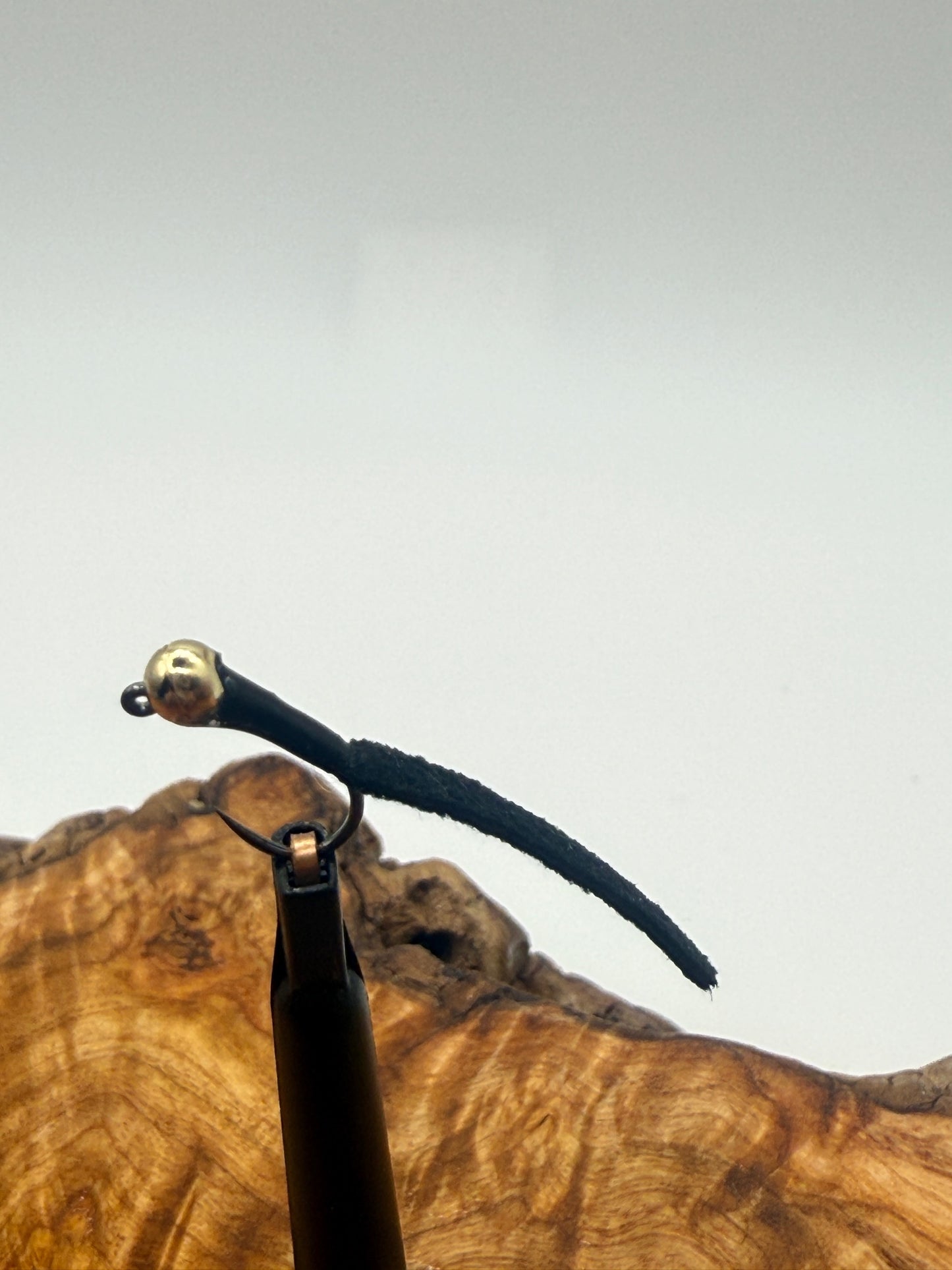 MIRCO LEECH